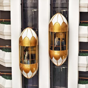 PANORAMIC ELEVATOR (Capsule Lift)