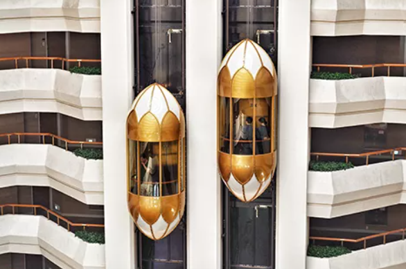 PANORAMIC ELEVATOR (Capsule Lift)